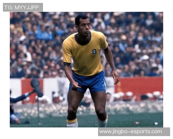 卡洛斯足球生涯球星排名解析全面盘点世界足坛左后卫传奇地位